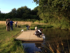Pond dipping in Back Field